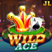 Wild Ace at JL11